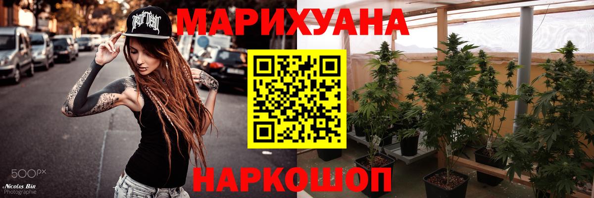 Каннабис планчик Зеленокумск